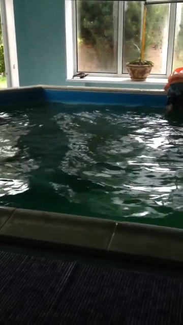 1 января 2017 г. смотреть онлайн