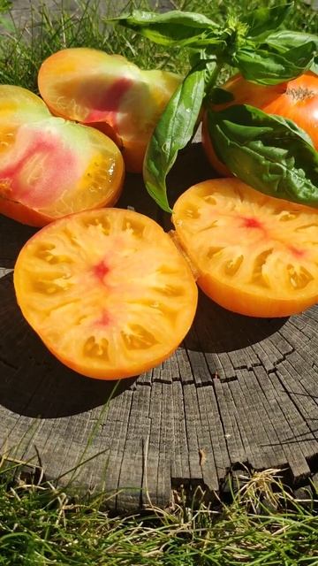 Семена вкусного томата Аппетитные Щечки смотреть онлайн