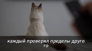 Моя жена сказала: "Я не твоя собственность". Я доказал: "