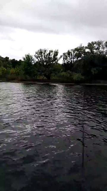 Астрахань сентябрь 2019 рыбалка отпуск Табун Арал смотреть онлайн