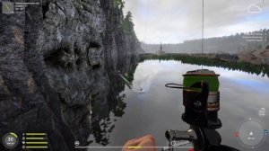 Русская рыбалка 4 (рр4). Озеро Ладожское. Каролинская ос