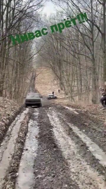 НИВА для леса, грибов, рыбалки, охоты!!! смотреть онлайн