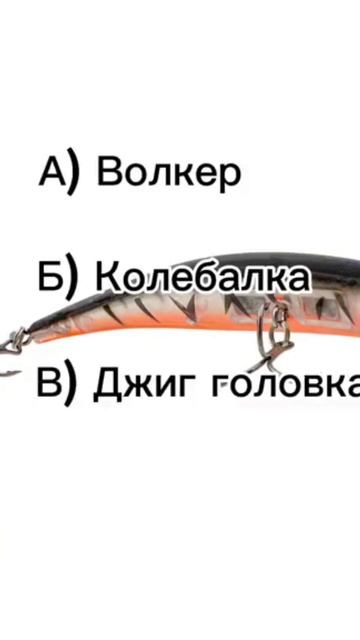 Очень лёгкий тест 🔥👍#рыбалка #приколы #рыбалка #carpfish смотреть онлайн