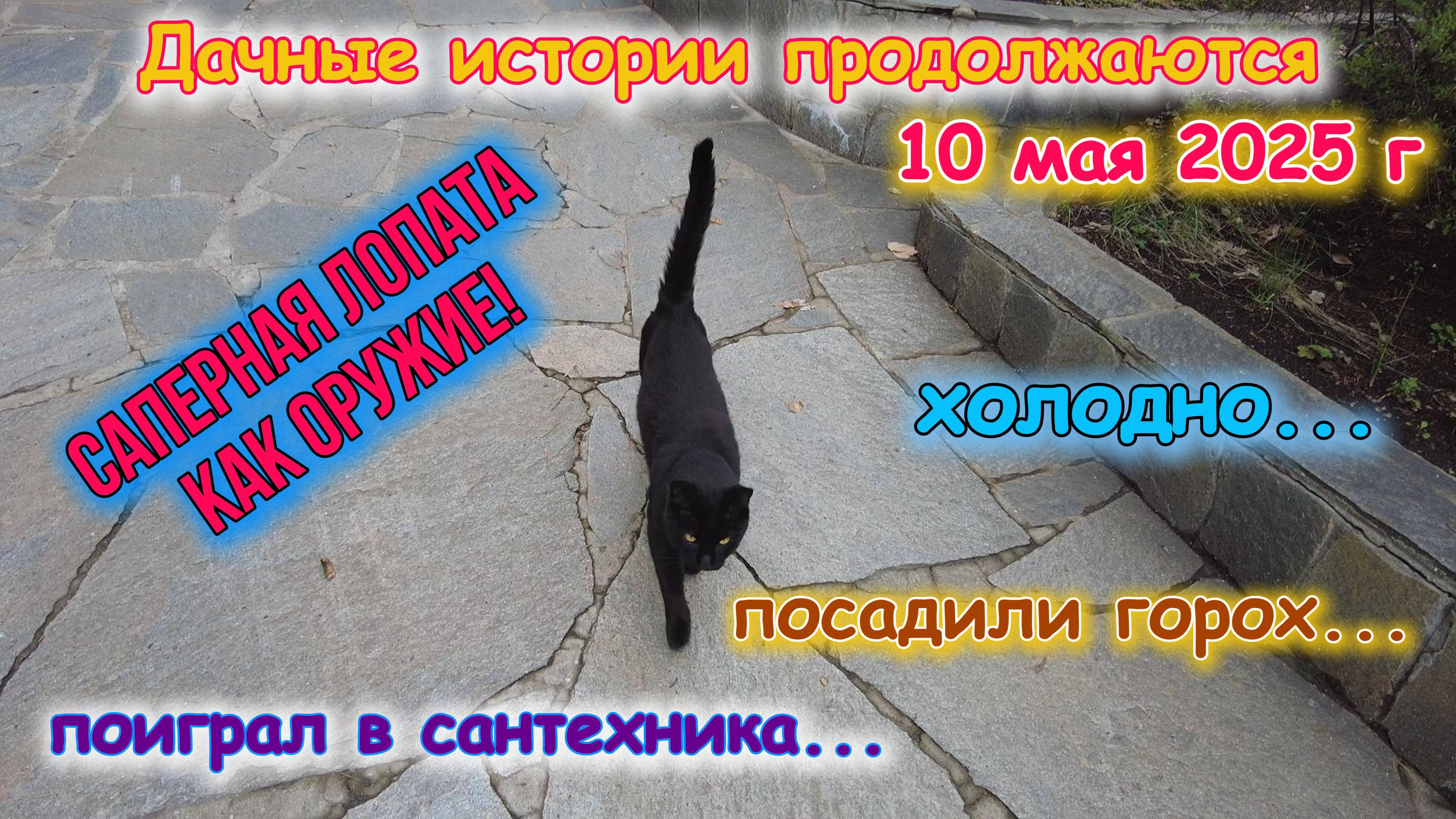 Дачные истории продолжение 10 мая 2025 г