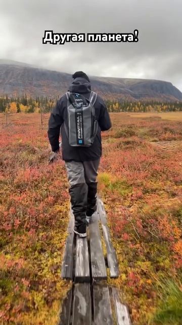 Осенняя рыбалка на Кольском 🔥 #finntrail смотреть онлайн