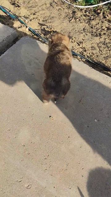 #2025 #хочуврек #хочувтоп #астрахань #рыбалка #топ #рек #со смотреть онлайн