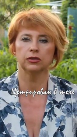 Наша субъективность #светланасбитневахарченко #донецк #медитациядонецк #отношения