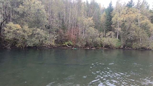 рыбалка на реке Мана 2024 смотреть онлайн