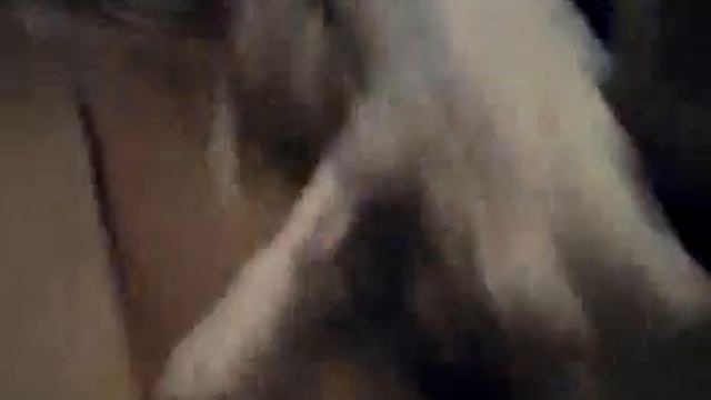 Апельсинчик мой.....