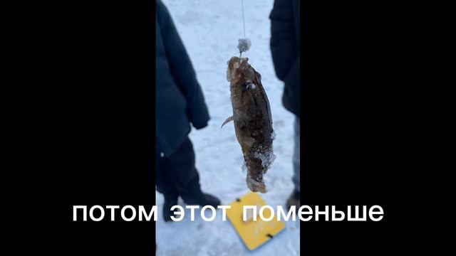 рыбачили с друзьями в парке якутова. #рыбалка #зима