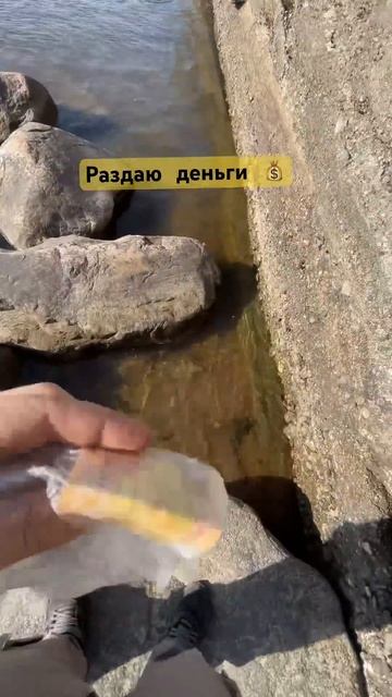 Секретное место в питере #спб #студенты #общага #помощь смотреть онлайн