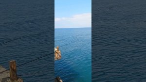 Морская рыбалка на удочку в Кобулети. Грузия.