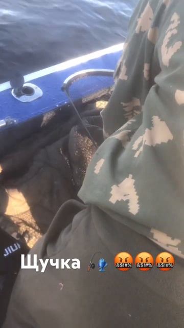 Щука Чебоксарское водохранилище 🎣 смотреть онлайн