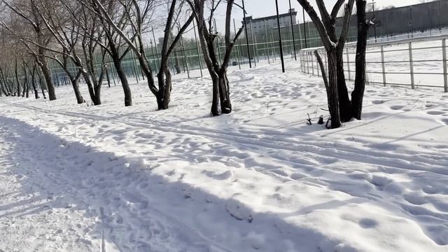 Бездомная девушка спасла сына миллиардера, а он узнал
