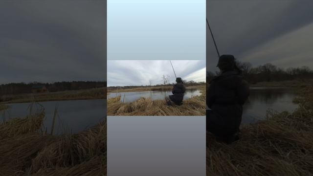 Рибалка на боковий кивок. Кльов гарного ОКУНЯ. Shorts смотреть онлайн