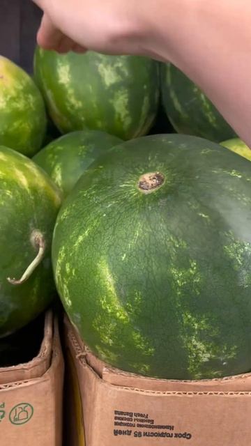 г.Белгород , погода 33% , Выбираем арбуз .Как правильно в? смотреть онлайн