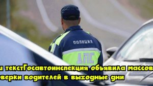 Госавтоинспекция объявила массовые проверки водителей в выходные дни