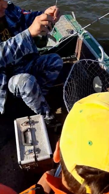 рыбалка в Астраханской области смотреть онлайн