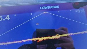 Active Target 2 - видно плавники! Ловим на Пойковском карьере.