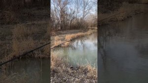 Рыбалка на  КМВ на реке кума #fishing  #джиг #река #рыбалка