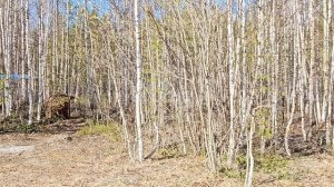 7740454 Тампонажник