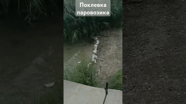 Озеро порадовало шикарной поклевкой карася на мини уб смотреть онлайн