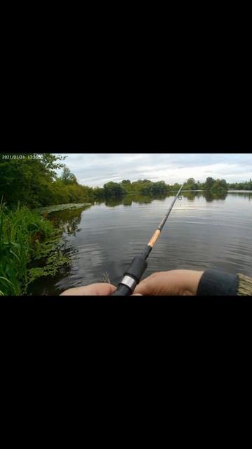Красивое место для рыбалки.#рыбалка #ловлярыбы #fishing #р? смотреть онлайн