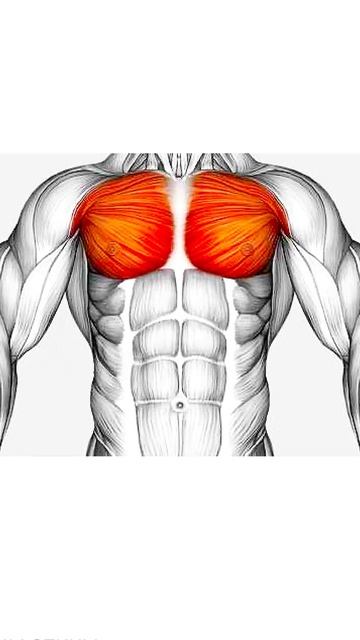 Пуловер с гантелью #homeworkout #motivation #fitness смотреть онлайн