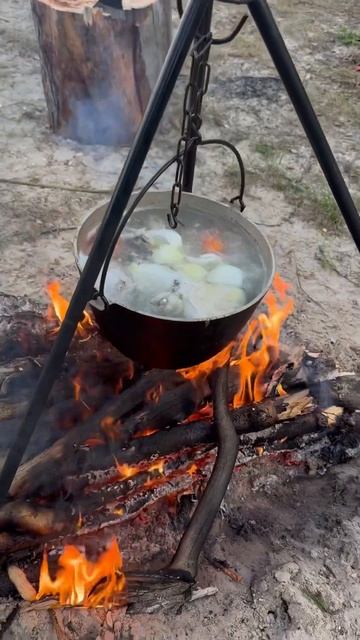 ТЮМЕНЬ.УХА НА КОСТРЕ. #село #природа #семья #дом #тюменс? смотреть онлайн