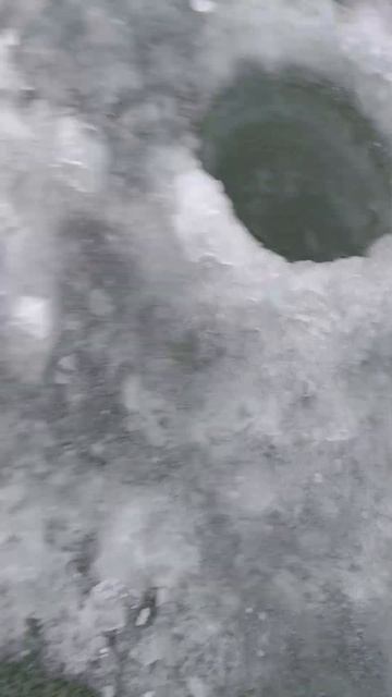 Опасный лёд 24-25. #рыбалка #рыба #fishing #улов #окунь #первый смотреть онлайн