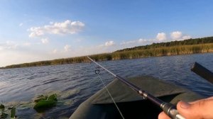 ОБЗОР МОИХ ЛЮБИМЫХ РАТТЛИНОВ НА ЩУКУ. НУ И ЩУКУ ЛОВИМ!