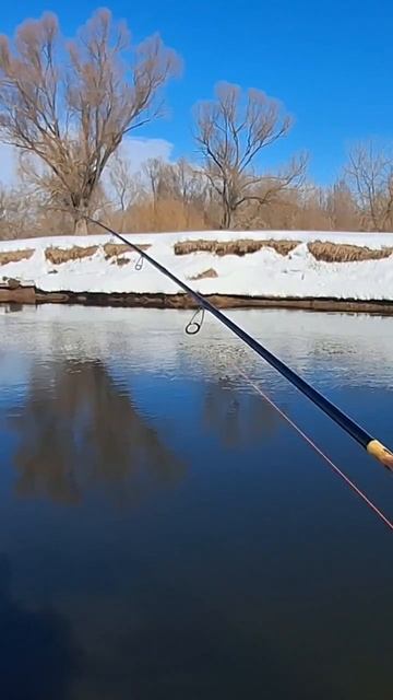 Щука на джиг в марте #рыбалка #природамать #позитивное? смотреть онлайн