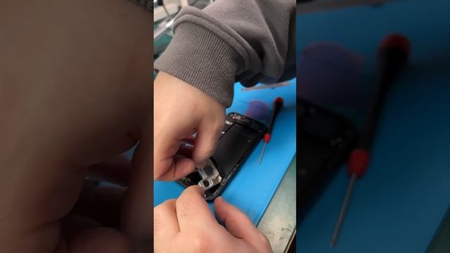 Не работает камера iPhone 15 смотреть онлайн