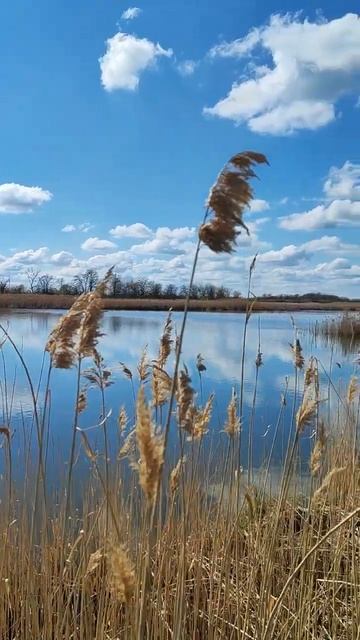 наша природа #новыедеревенские #переезднаюг #рыбалка #