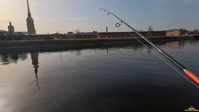 ДРОП- ШОТ #окунь УТРО АПРЕЛЬ 2025 РЕКА НЕВА РЫБАЛКА НА Х? смотреть онлайн
