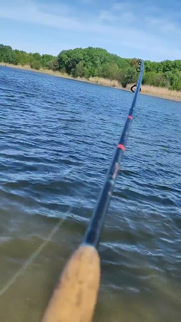 Хороший окунь на отводной поводок...Окуняра смотреть онлайн