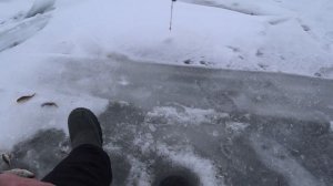 Рыбалка на Чудском озере. Сезон 2025.Кодавере. Cope Peipusa ezer?