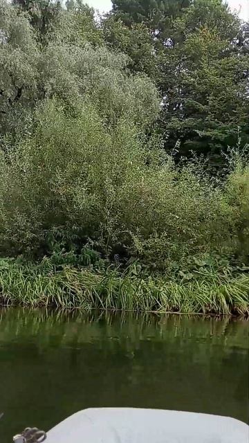 река Сива сплав от гавриловки до устья Сивы смотреть онлайн