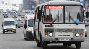 Хаотичный рынок: число нелегальных автобусных перевозчиков превысило 30%