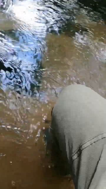 Форель на воблер! #рыбалка2023 #forellenangeln #troutfishing