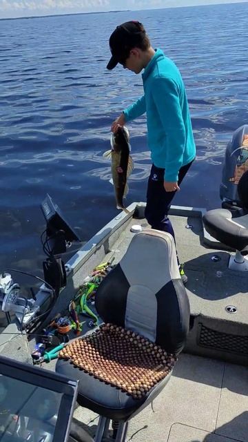 выпускаем #рекомендации #fishing #рыбинка #рыбалка #fish #catcha смотреть онлайн