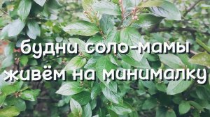 ОДНА С ДВУМЯ ДЕТЬМИ ЖИВУ НА МИНИМАЛКУ