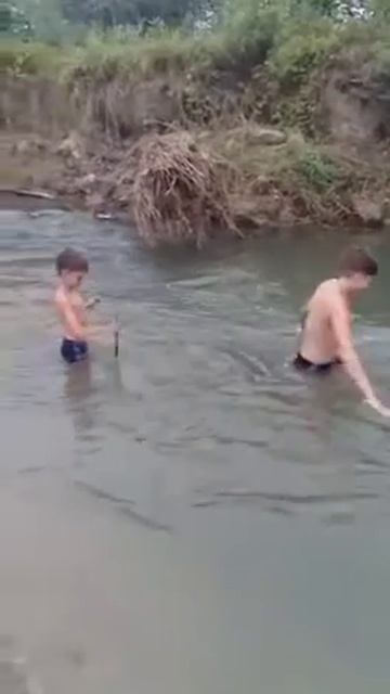 Паша смотреть онлайн