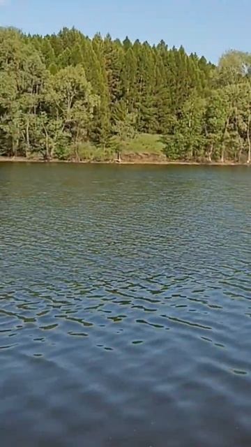 Так выглядит разочарование когда сходит щука 😁😁😁, ? смотреть онлайн