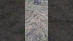 абесинка двойная, 18 метров одна глина!