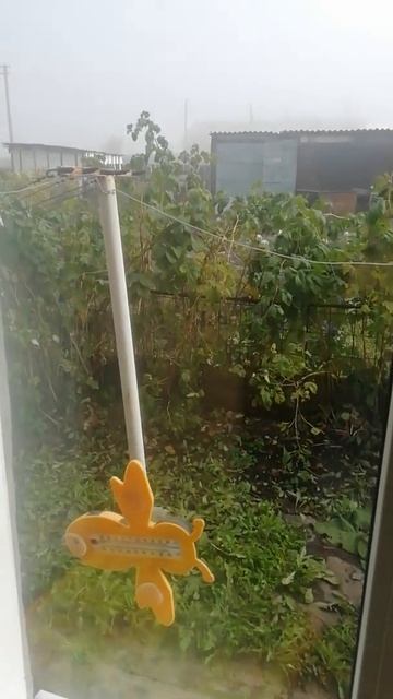 Туман в Кемеровской Области!!! смотреть онлайн