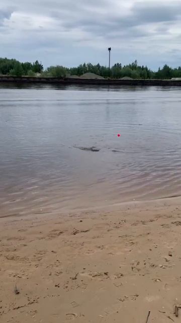 С днём рыбака Всем НХНЧ смотреть онлайн