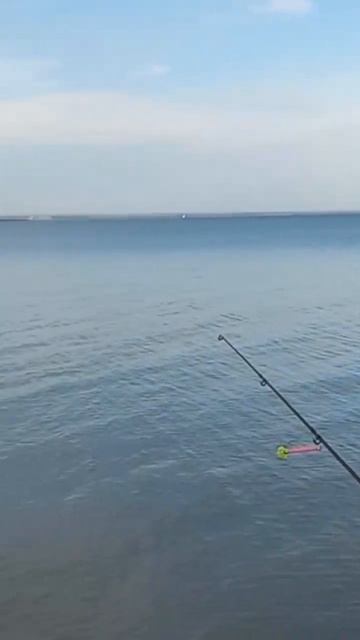 #fishing#рыбалка#природа#маныч#microjig#путешествия#shorts