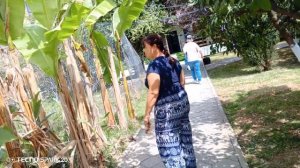 Отель Арго . Гудаута . Абхазия