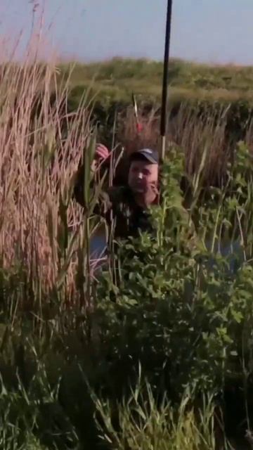 Клёвое место #закидушки #клюёт #наживка #отдых #рыбак #? смотреть онлайн